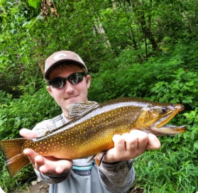 The Perfect Road Trip: Bryson City to Cherokee, NC—A Scenic Journey Through the Heart of the Smokies